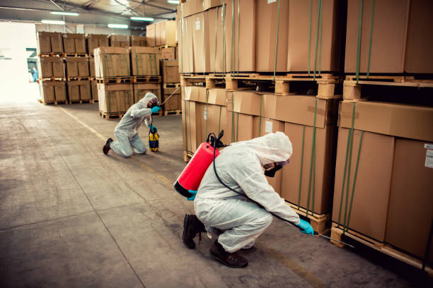 Best Pest Removal Services  in Buffalo, OK
