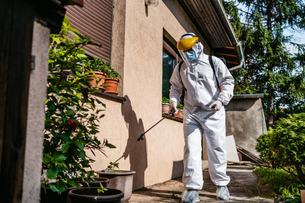 Best Pest Inspection Near Me  in Buffalo, OK