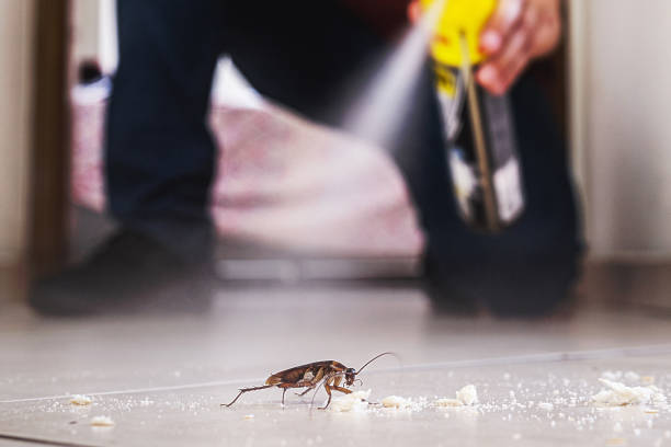 Best Wildlife Control Services  in Buffalo, OK