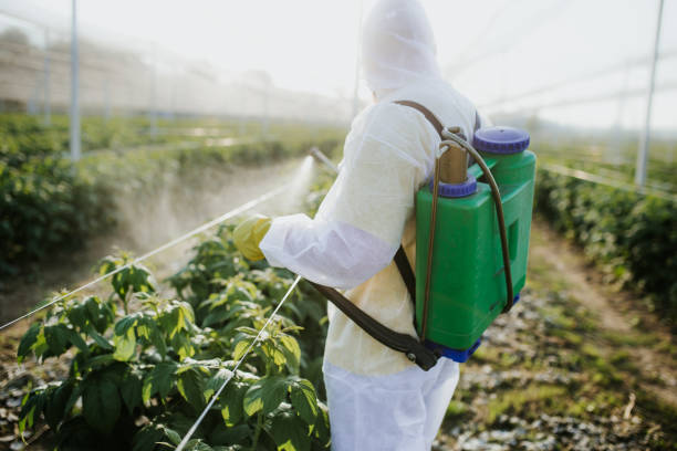 Best Cockroach Control Services  in Buffalo, OK